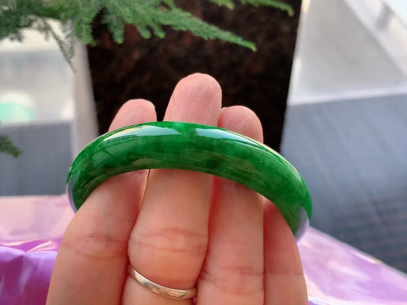 贵妃一大节辣绿 无瑕 尺寸:53.9/48.1/12.2/7.2 色辣