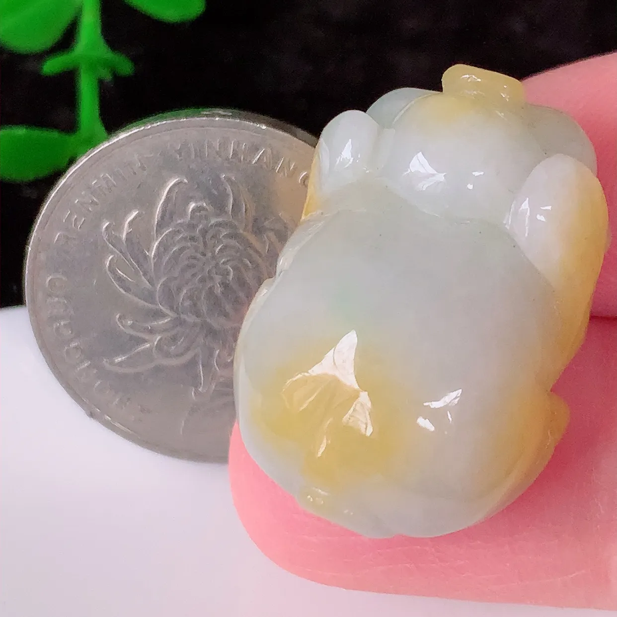 自然光实拍，冰润黄翡双彩翡翠生肖猪吊坠，种老水足，雕工精湛 ，寓意美好，佩戴时尚出众！#57.2