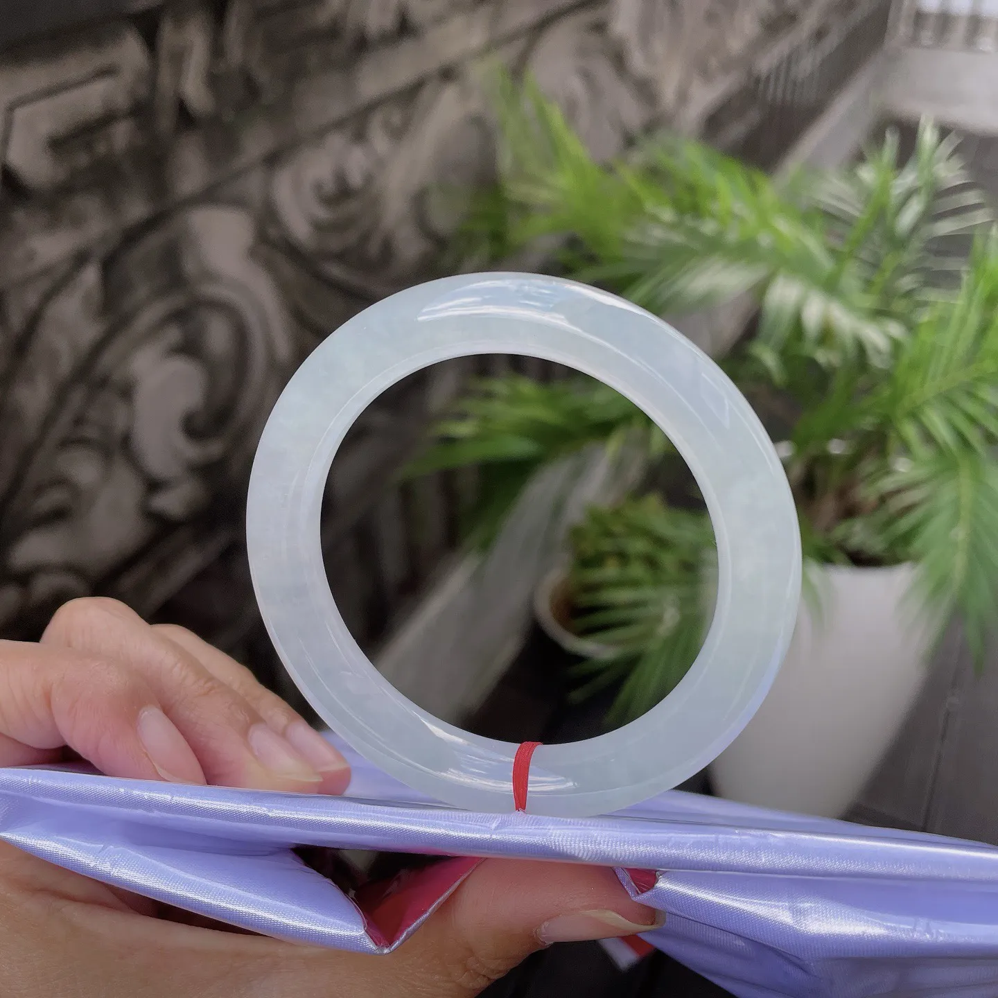 55圆条🥒
晴底，静若秋水，透如薄冰，仿佛携了一汪溪涧的清灵，便是岁月里最清绝的留白