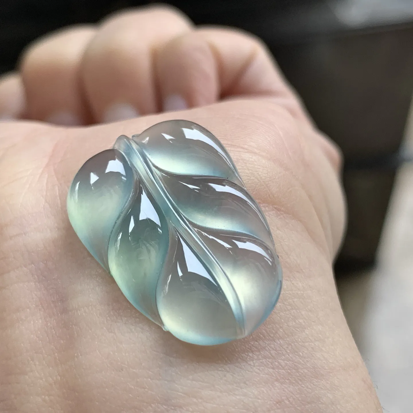 冰蓝叶子^_^种老荧光十足