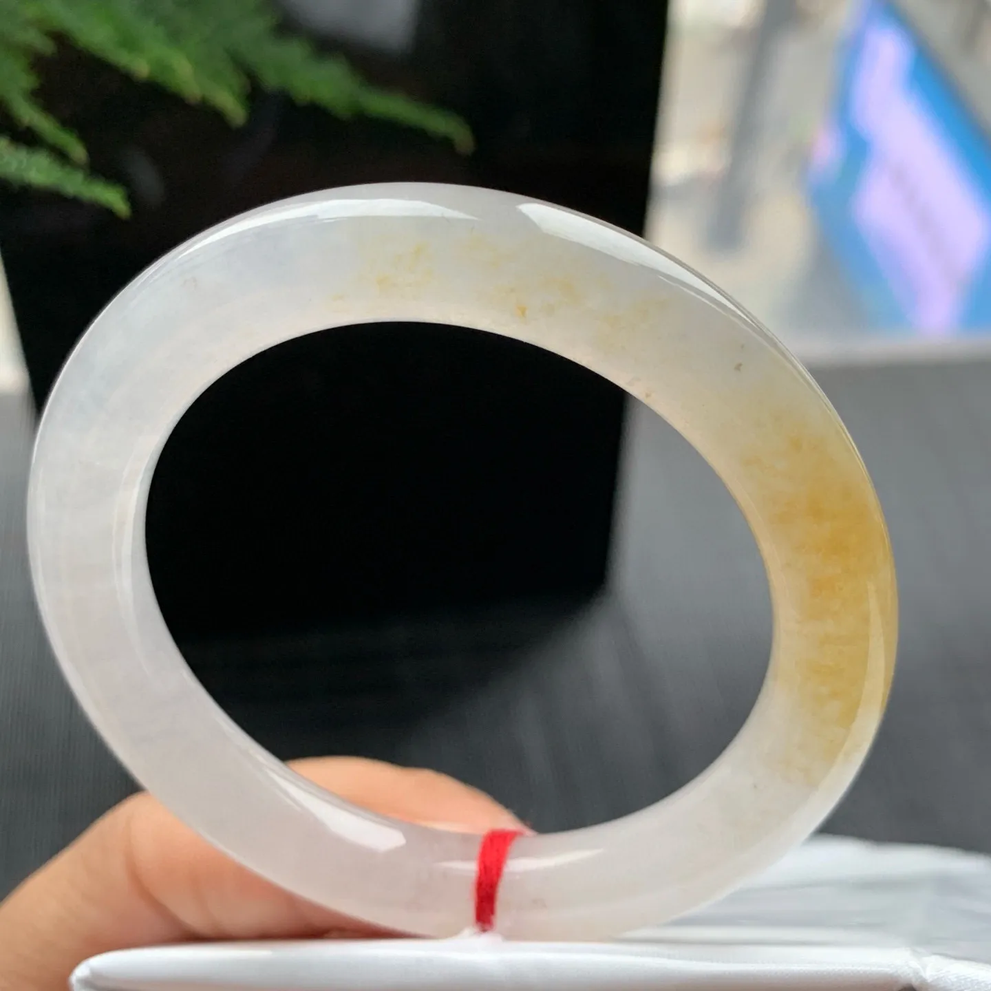 圆条高冰黄翡 无瑕 尺寸:52.4/9.4 种色俱佳