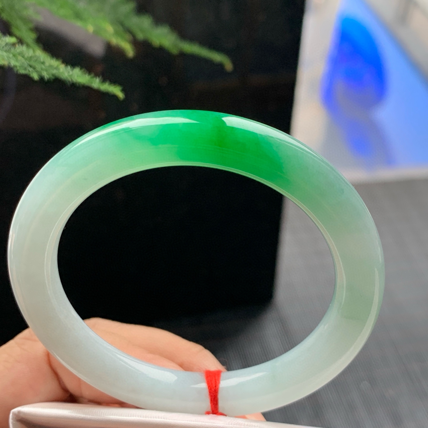 圆条冰糯阳绿 无瑕 尺寸:52.7/9 色阳