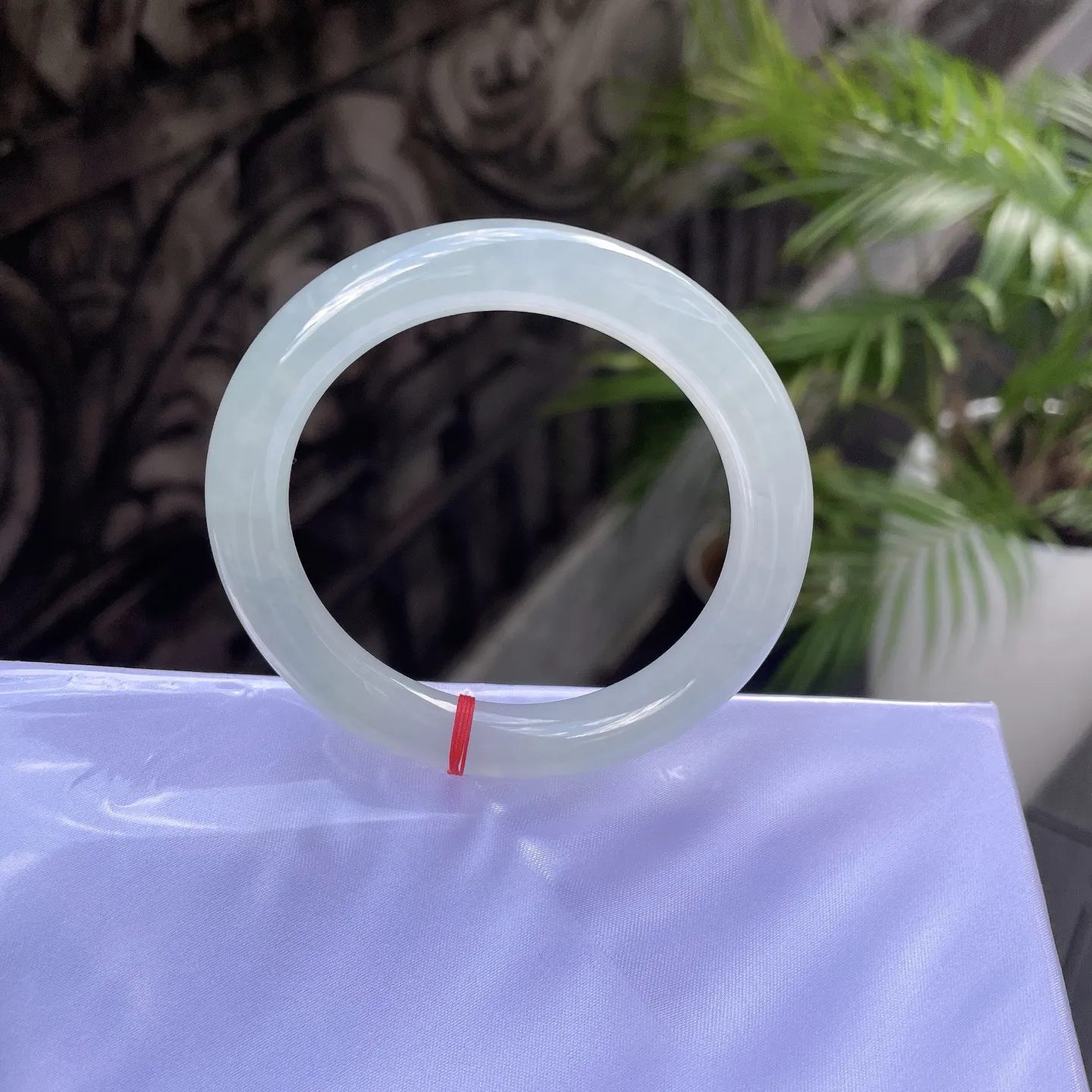 55圆条🥒
晴底，静若秋水，透如薄冰，仿佛携了一汪溪涧的清灵，便是岁月里最清绝的留白