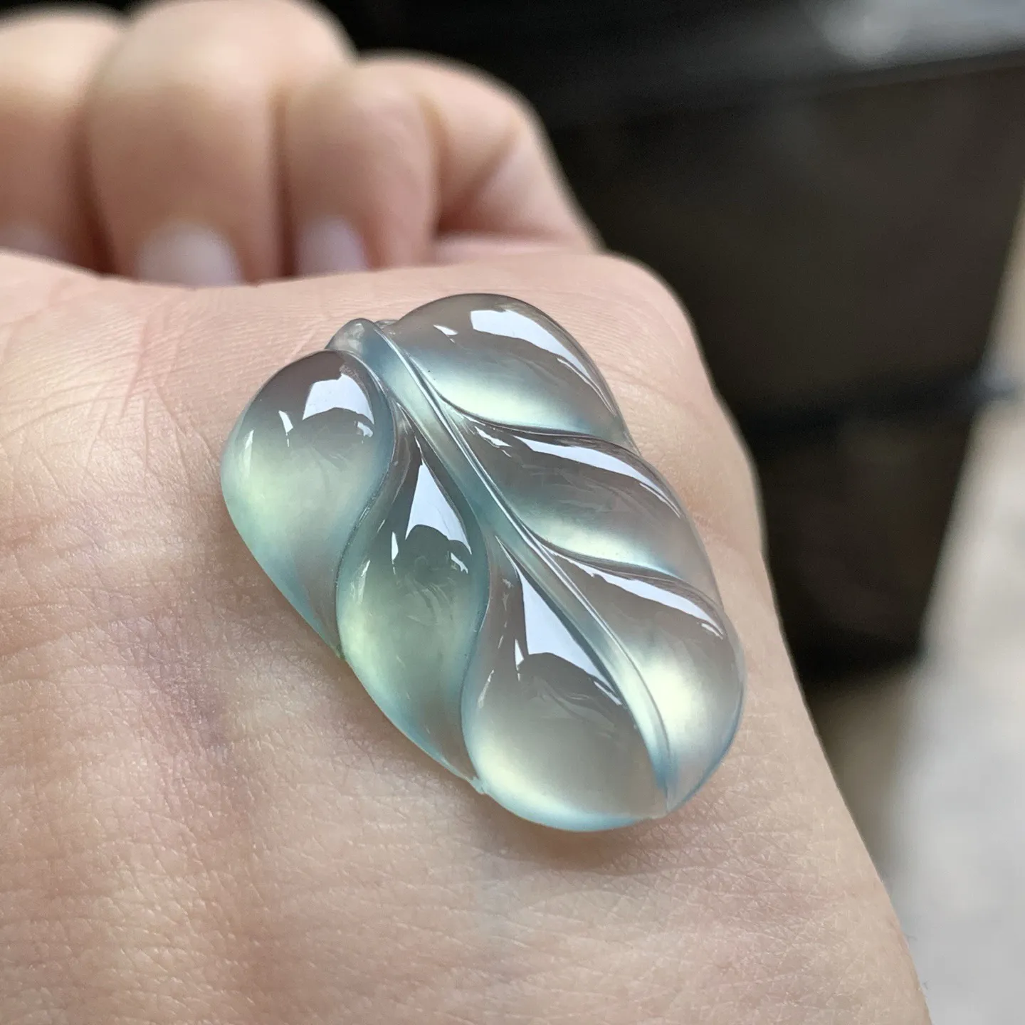 冰蓝叶子^_^种老荧光十足