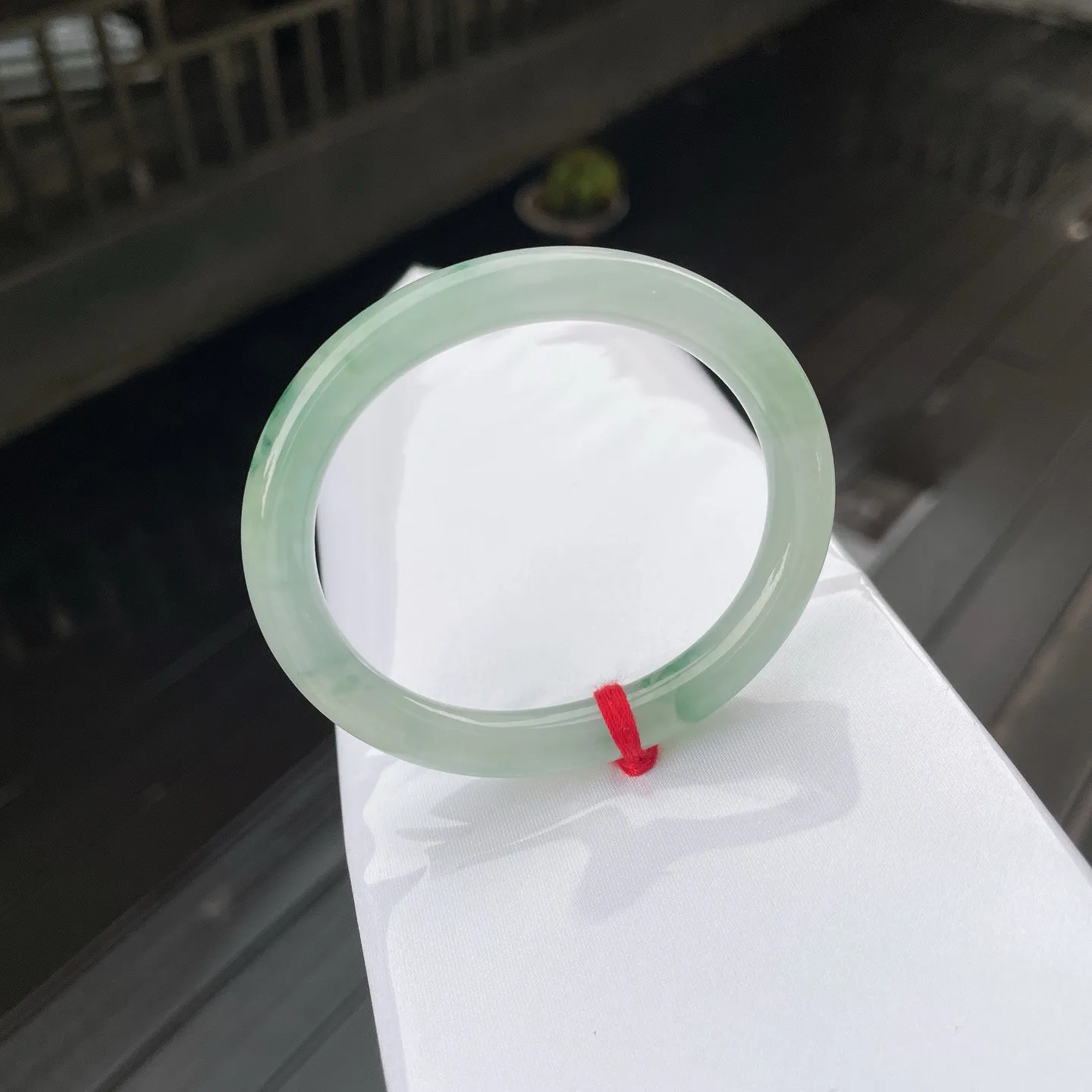 54贵妃🫑
飘花，底色似清透的湖水，澄澈又柔和，星星点点的翠绿，如春日枝头新绽的嫩叶，