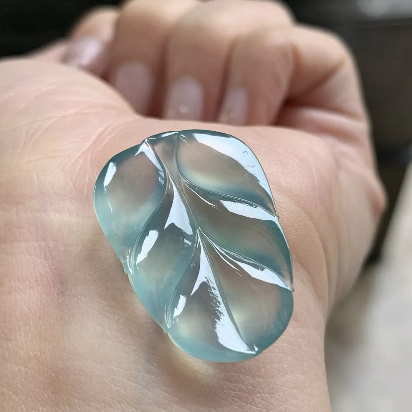 冰蓝叶子^_^种老荧光十足