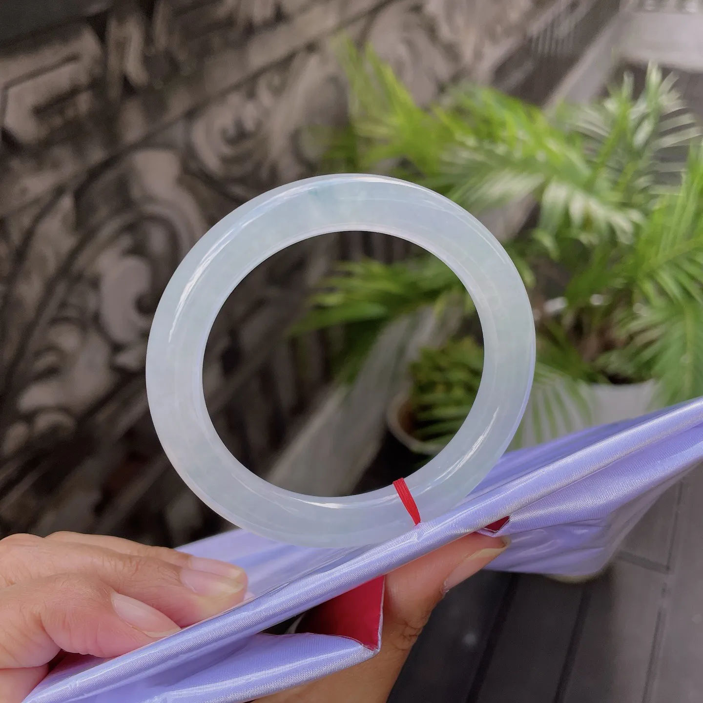 55圆条🥒
晴底，静若秋水，透如薄冰，仿佛携了一汪溪涧的清灵，便是岁月里最清绝的留白