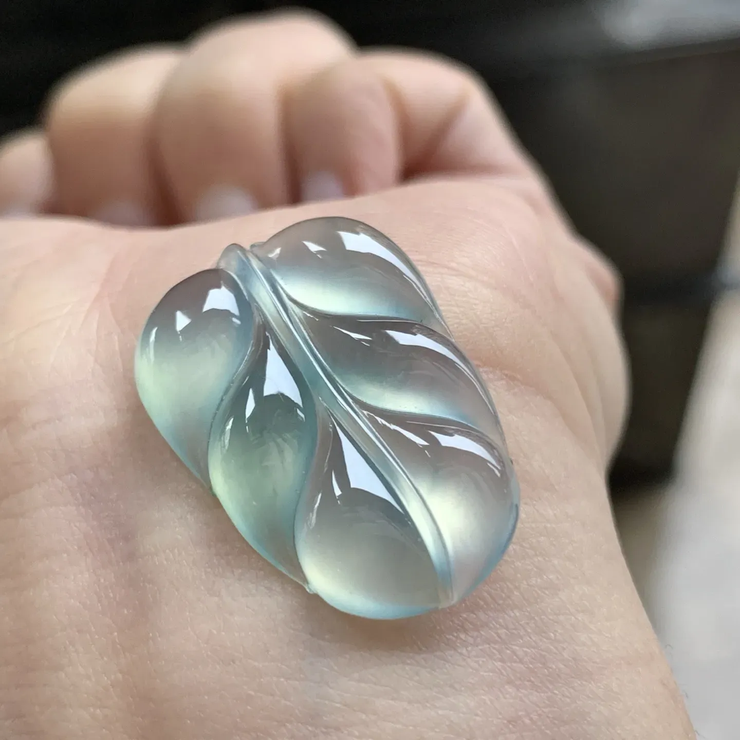 冰蓝叶子^_^种老荧光十足