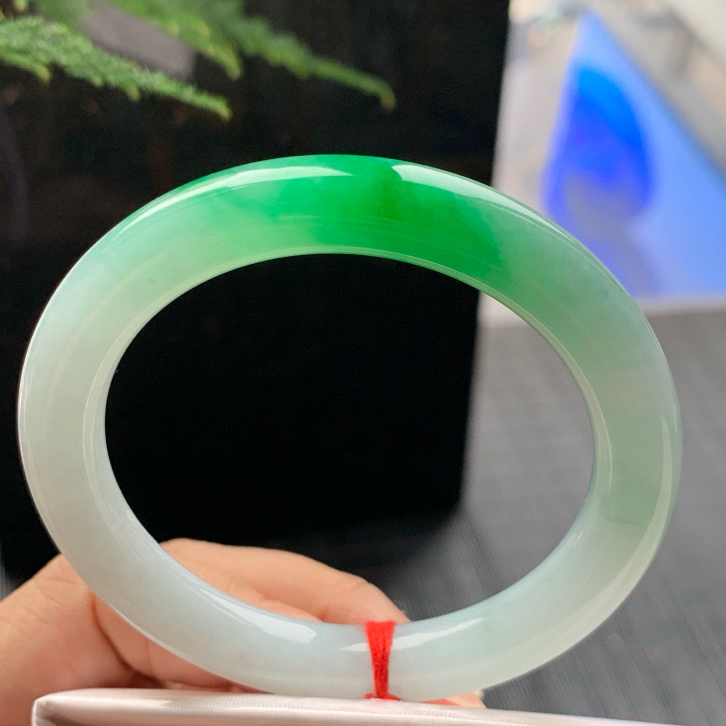 圆条冰糯阳绿 无瑕 尺寸:52.7/9 色阳