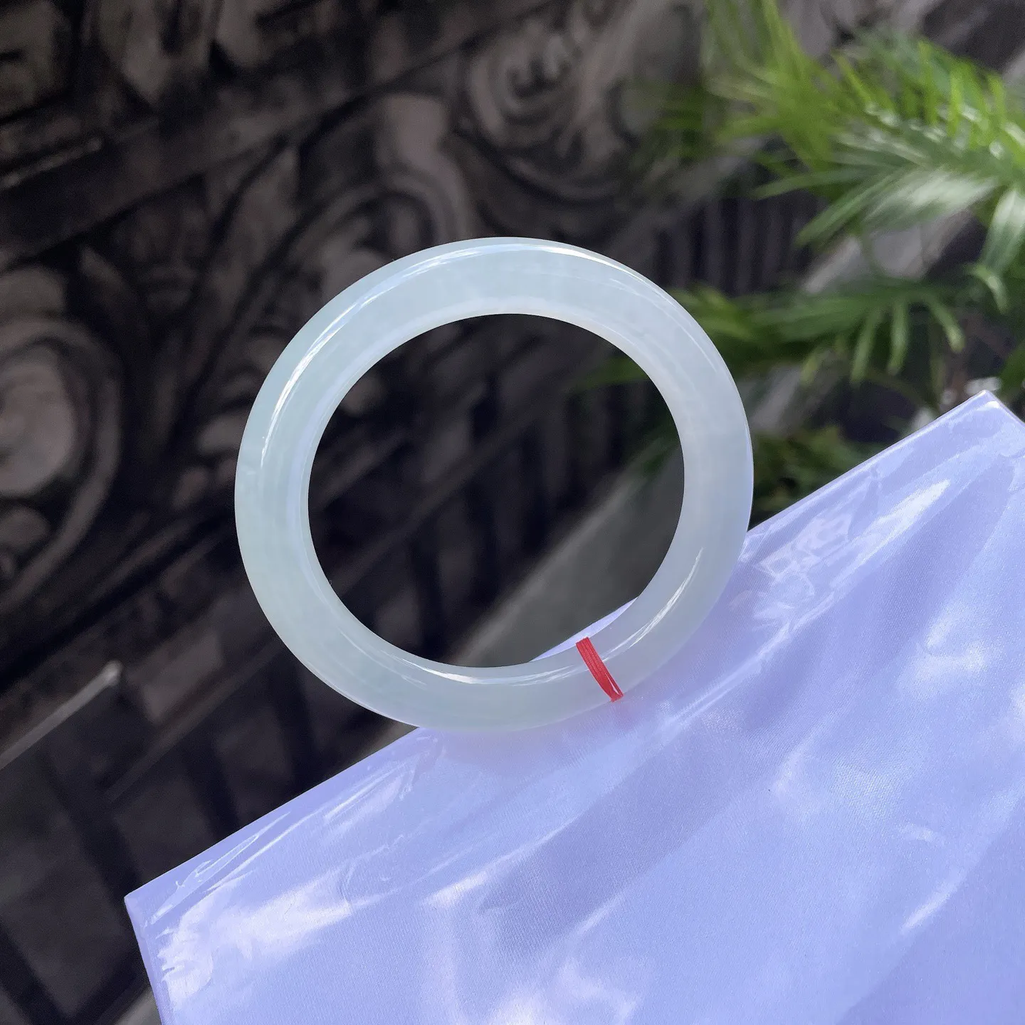 55圆条🥒
晴底，静若秋水，透如薄冰，仿佛携了一汪溪涧的清灵，便是岁月里最清绝的留白