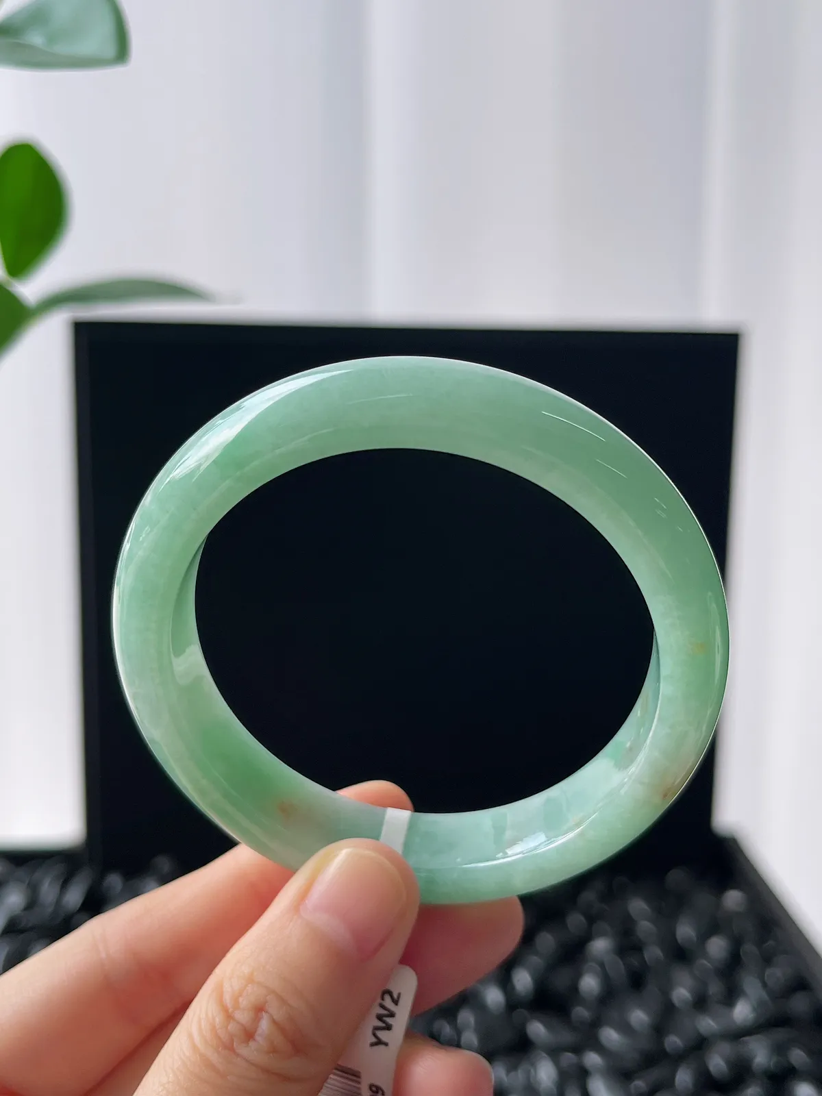 正圈54.5圈口，翡翠糯化种飘绿手镯