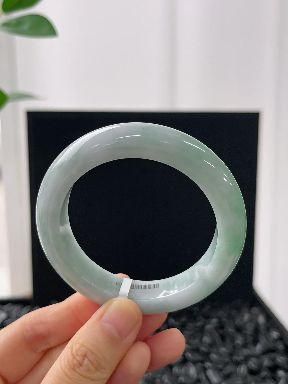 正圈50.1圈口，翡翠糯化种浅绿色手镯