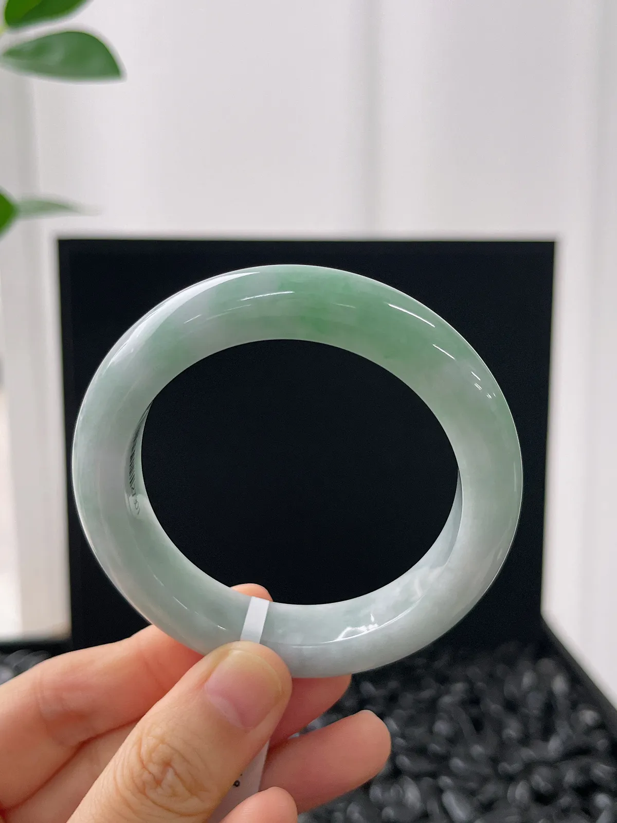 正圈50.1圈口，翡翠糯化种浅绿色手镯