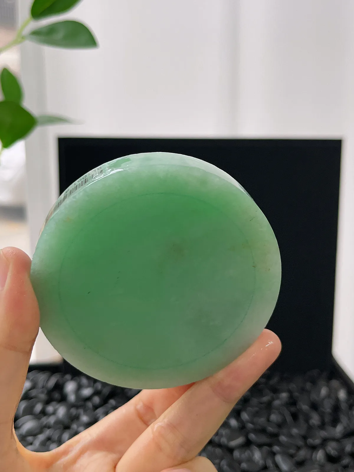 翡翠镯饼，⭕️正圈最大做55，圆条最大做51