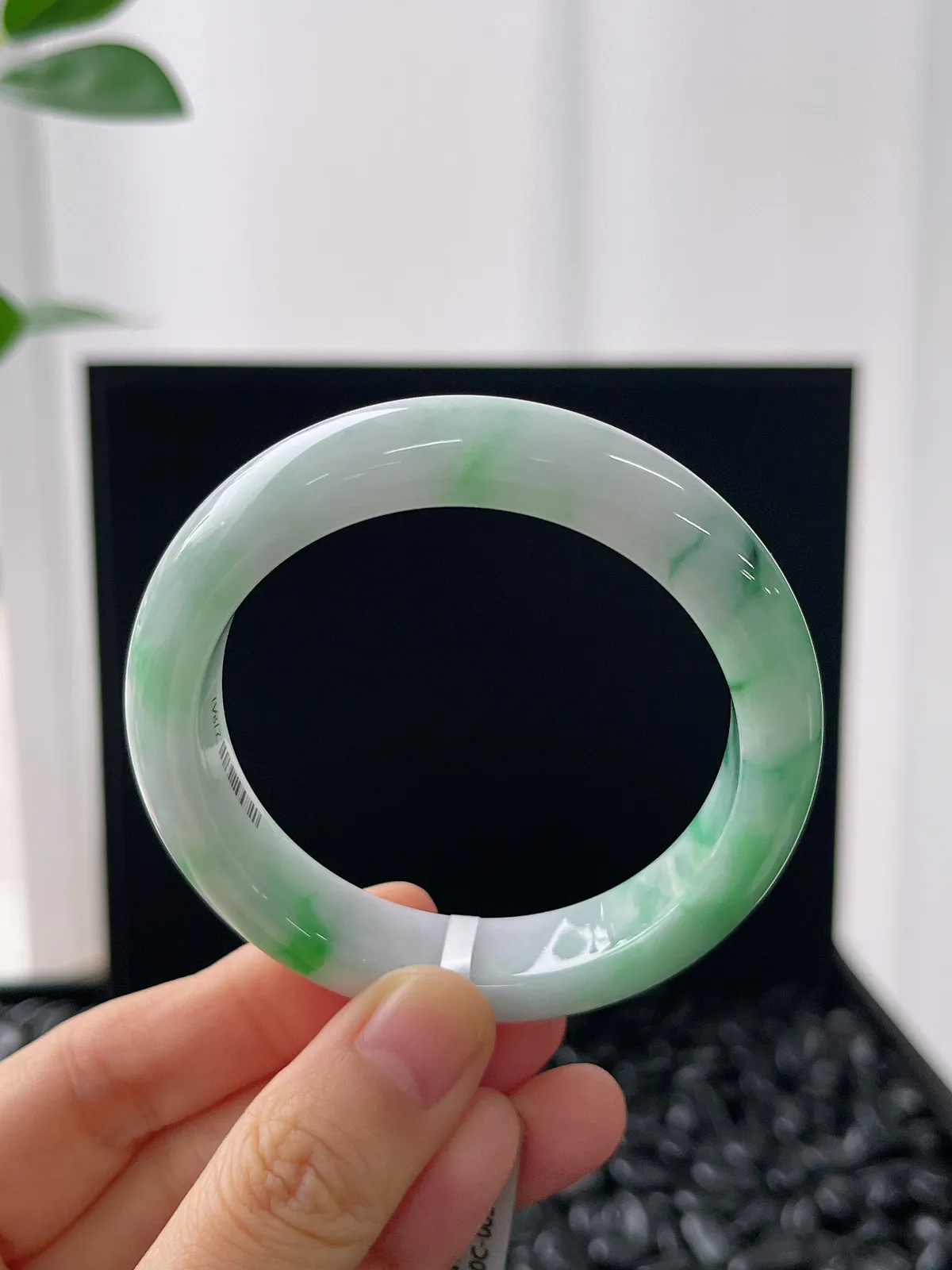 正圈51.3圈口，翡翠糯化种飘绿手镯