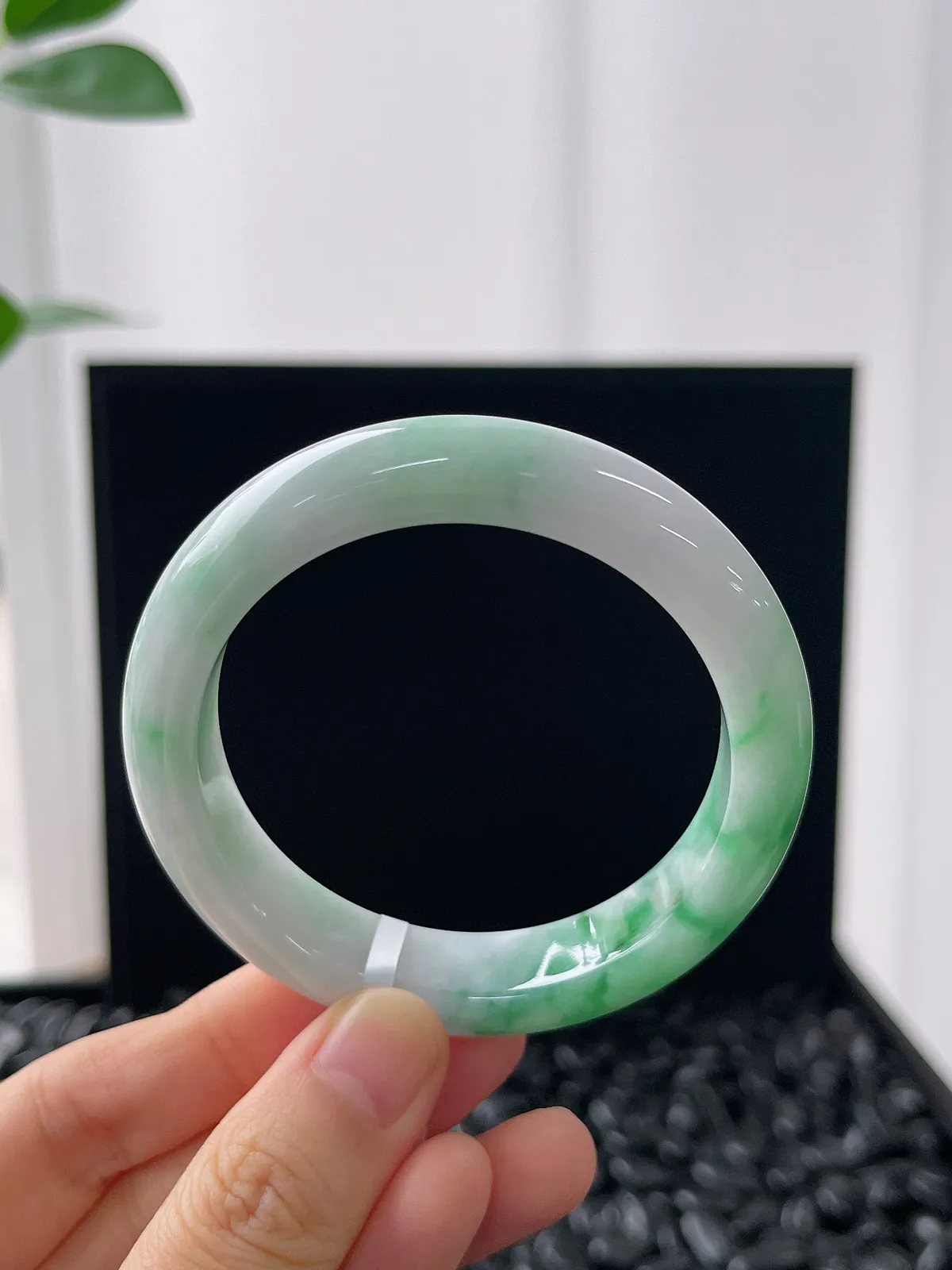 正圈51.3圈口，翡翠糯化种飘绿手镯