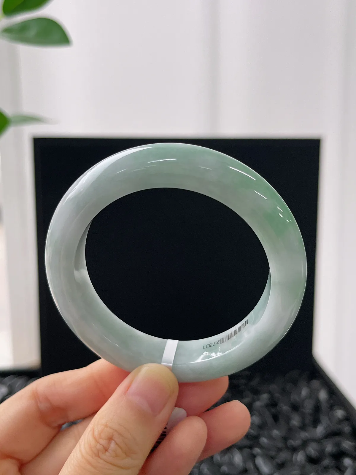 正圈50.1圈口，翡翠糯化种浅绿色手镯