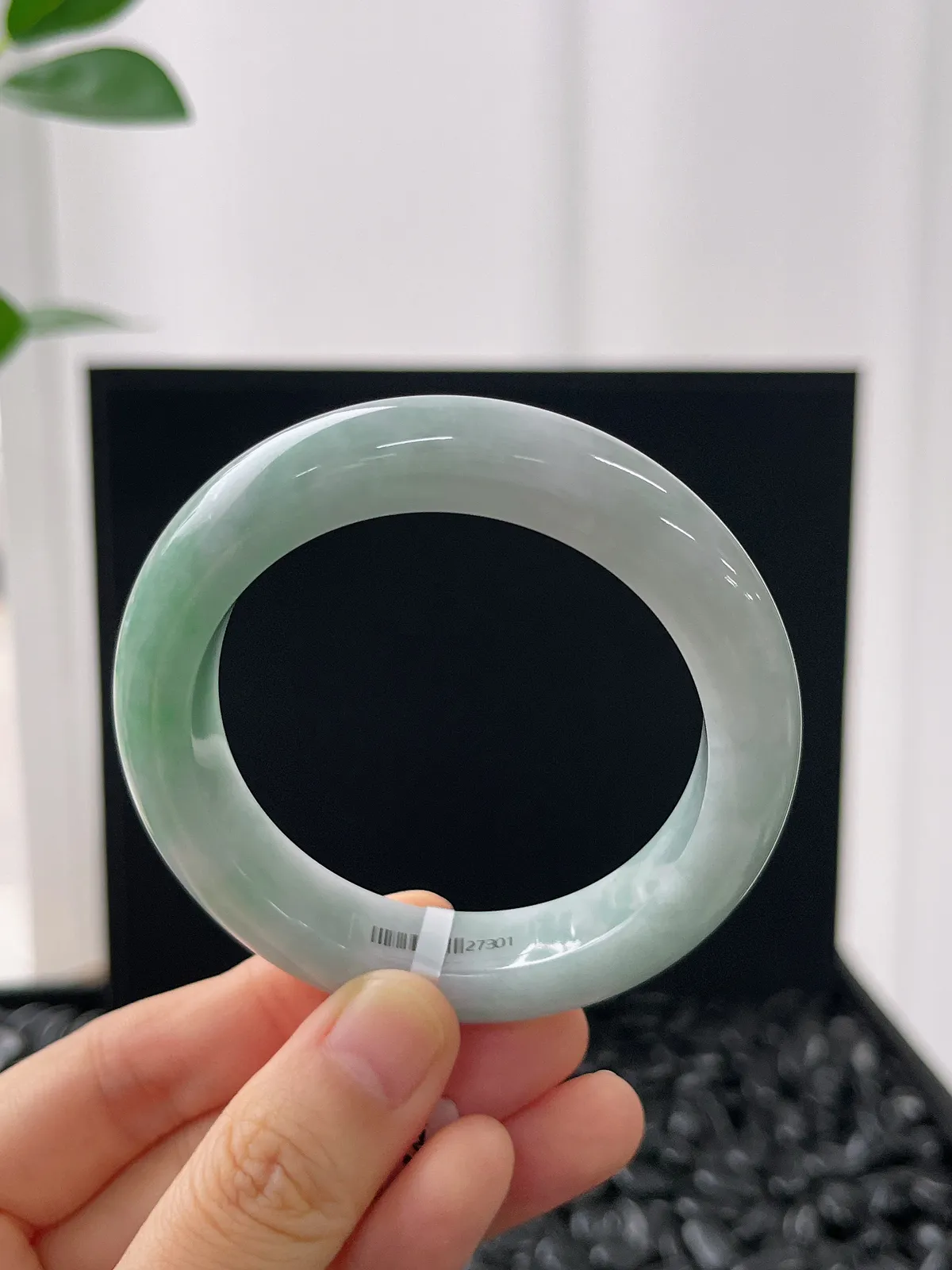 正圈50.1圈口，翡翠糯化种浅绿色手镯