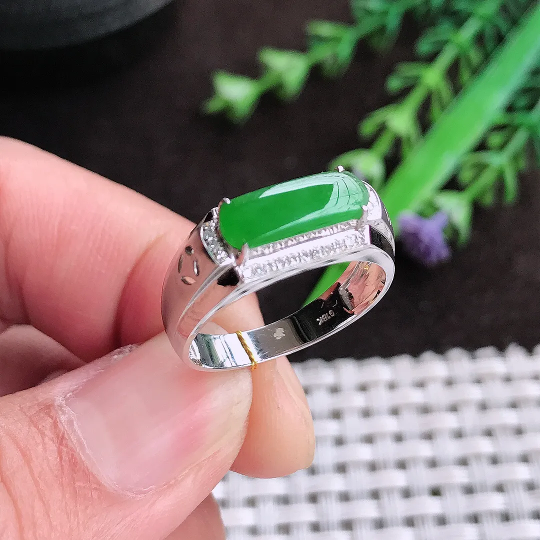 自然光18/11.8/4老坑18k金镶嵌满阳绿马鞍戒指翡翠玉