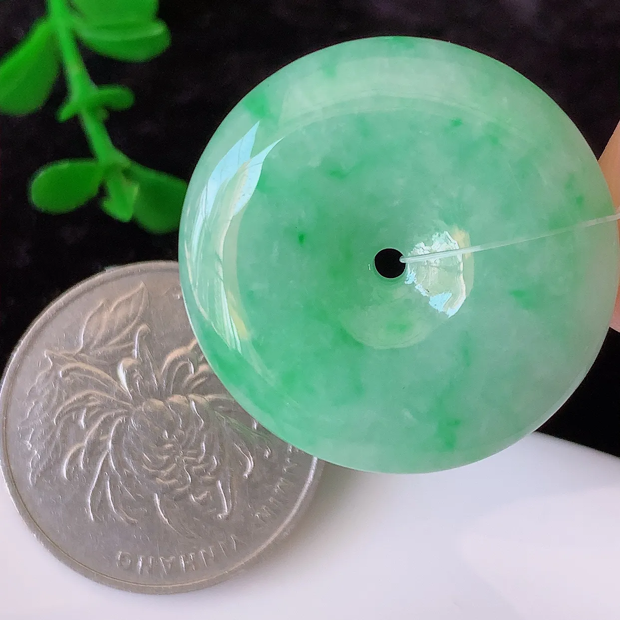 自然光实拍，冰润飘绿翡翠平安扣吊坠，形体饱满圆润，平安扣肥嘟嘟的，平平安安，种水很好， 配戴精美！#49.31