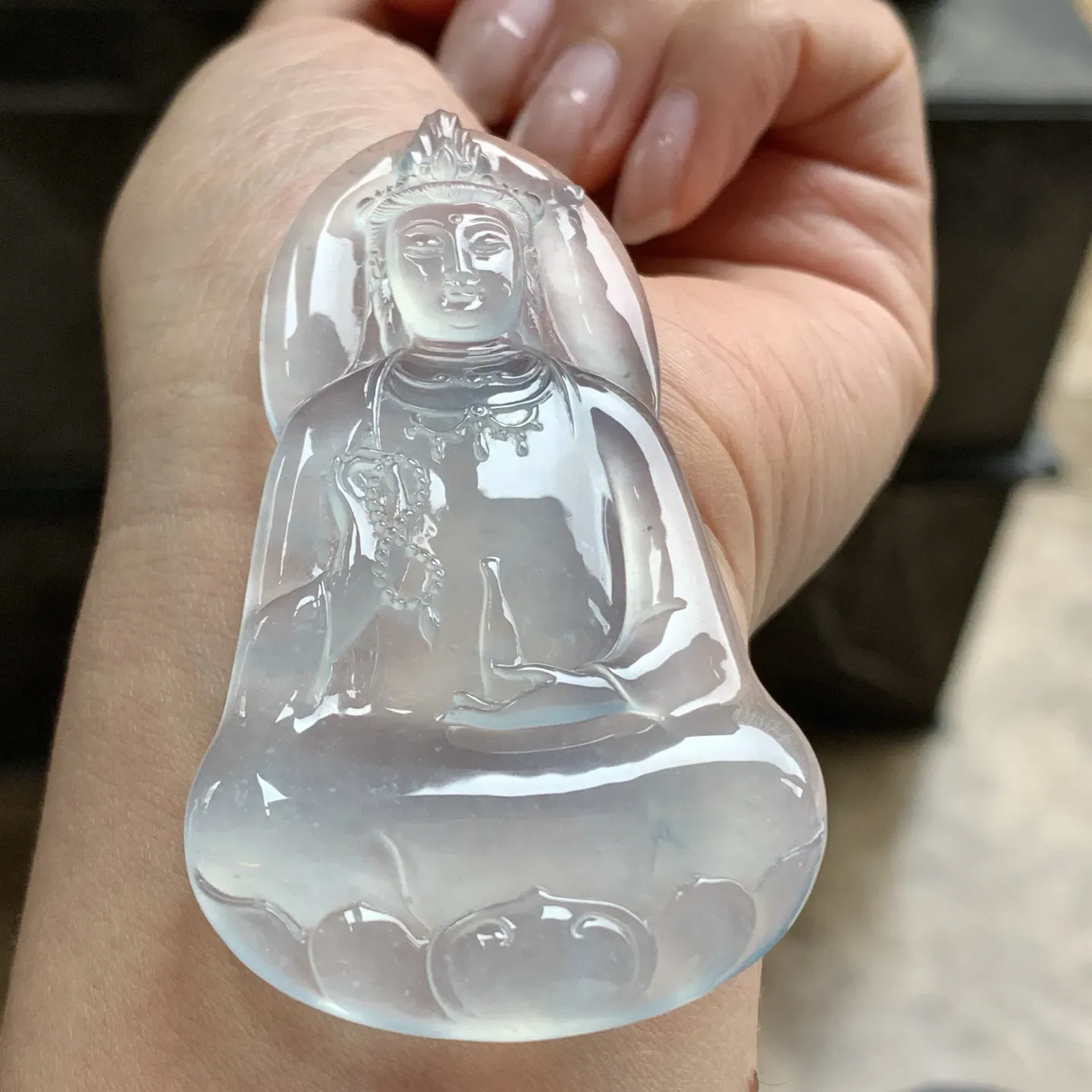 高冰观音^_^种老 荧光十足