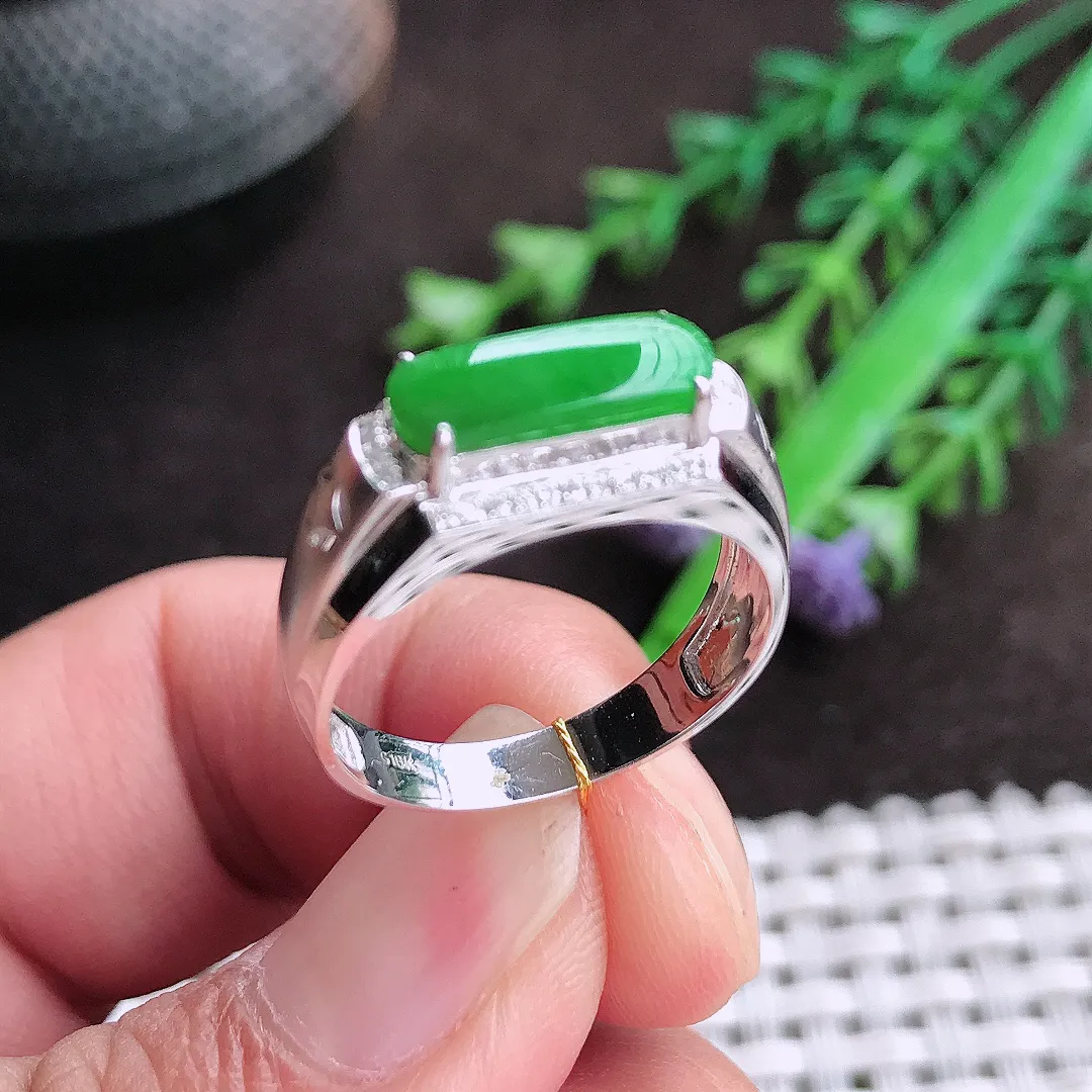 自然光18/11.8/4老坑18k金镶嵌满阳绿马鞍戒指翡翠玉