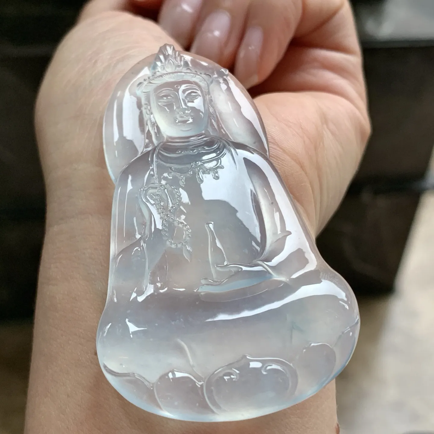 高冰观音^_^种老 荧光十足