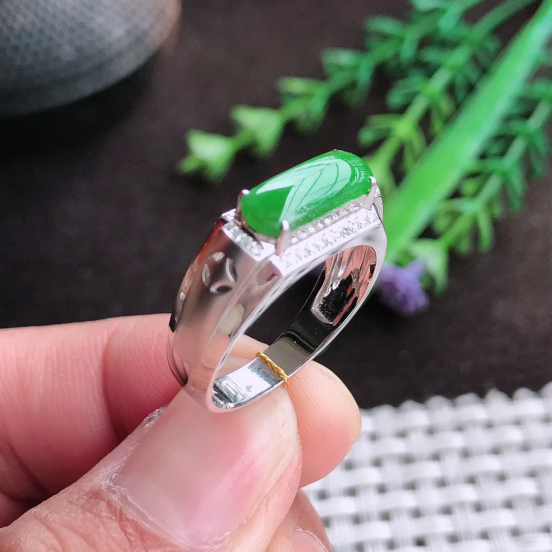 自然光18/11.8/4老坑18k金镶嵌满阳绿马鞍戒指翡翠玉