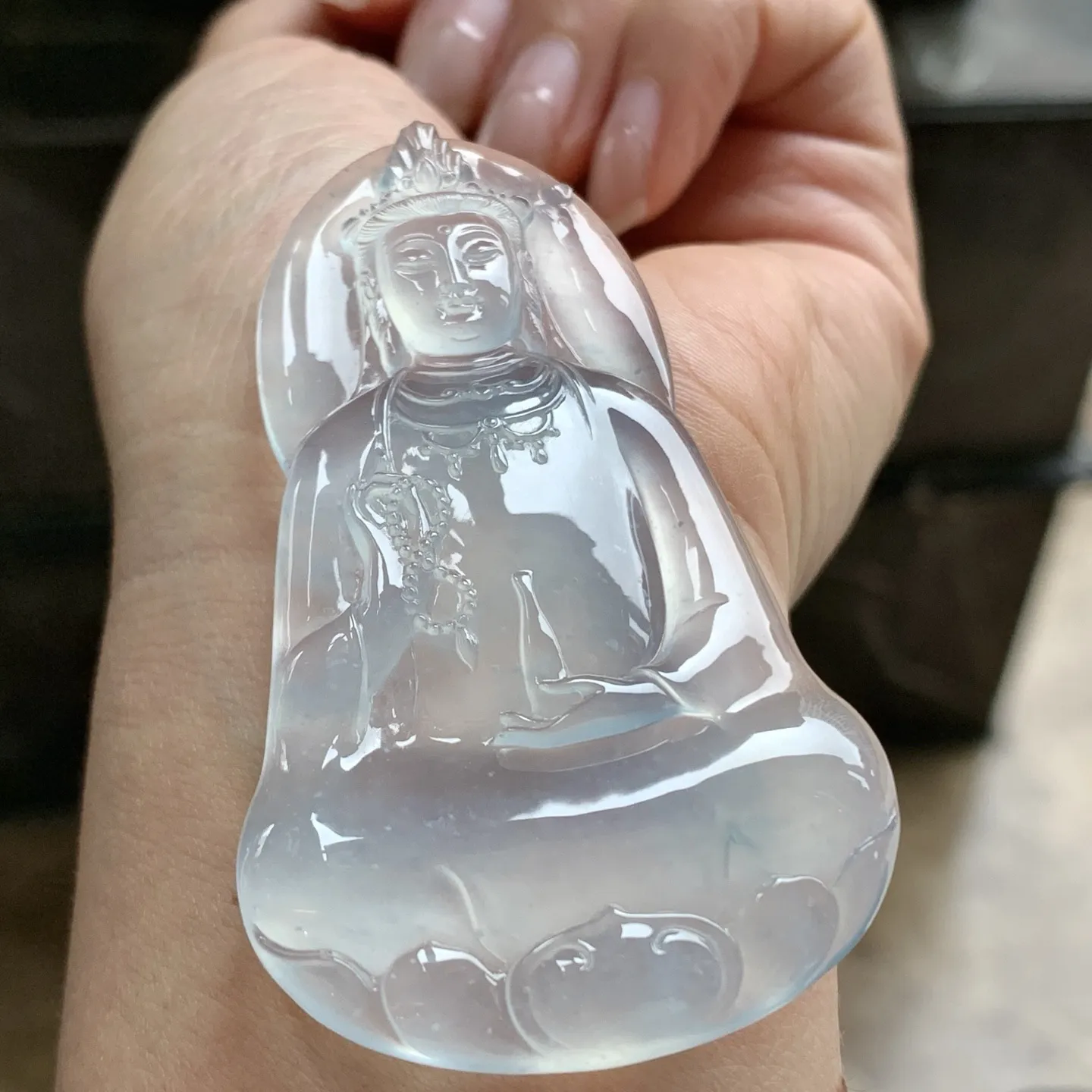 高冰观音^_^种老 荧光十足