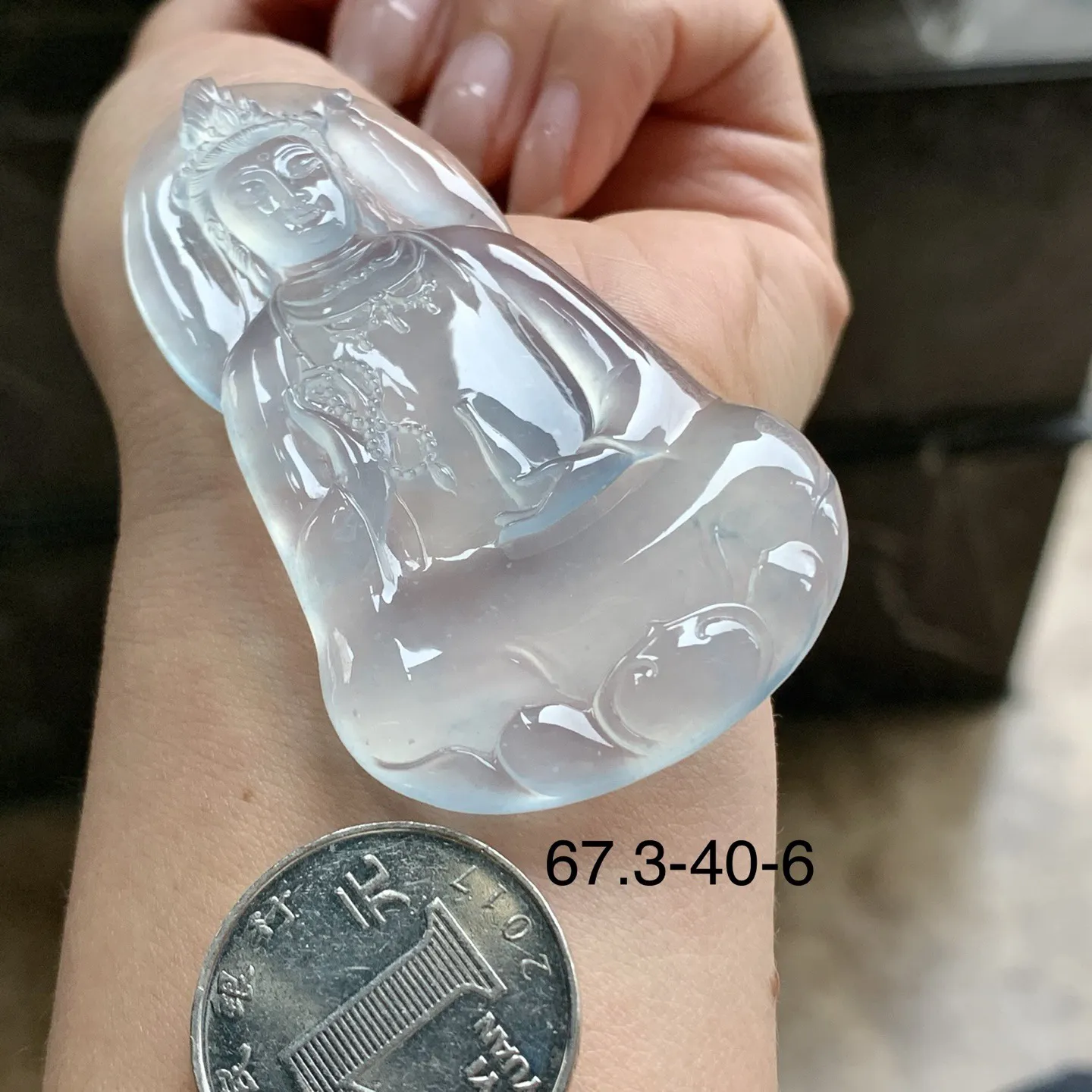 高冰观音^_^种老 荧光十足