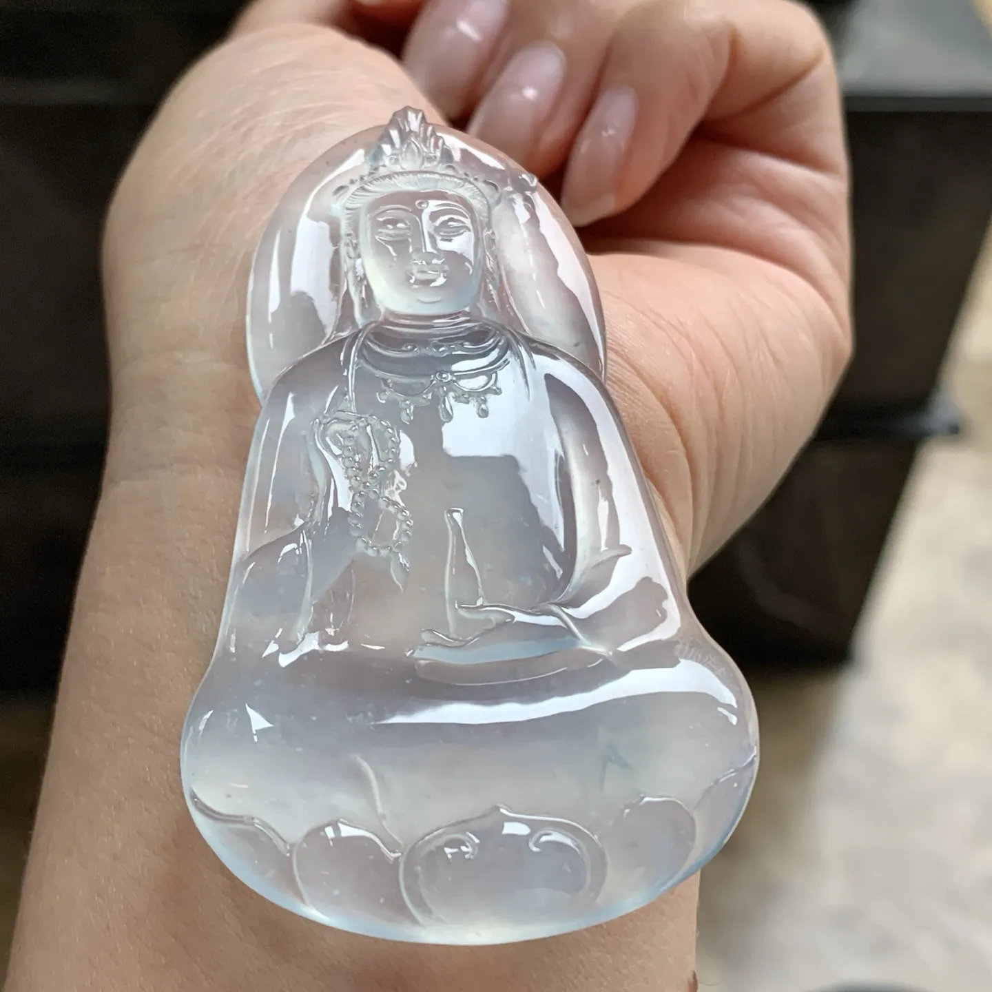 高冰观音^_^种老 荧光十足