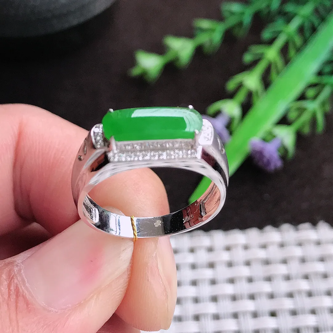 自然光18/11.8/4老坑18k金镶嵌满阳绿马鞍戒指翡翠玉