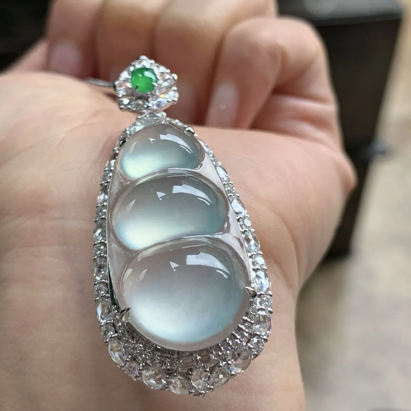 金钻镶嵌高冰豆子^_^饱满