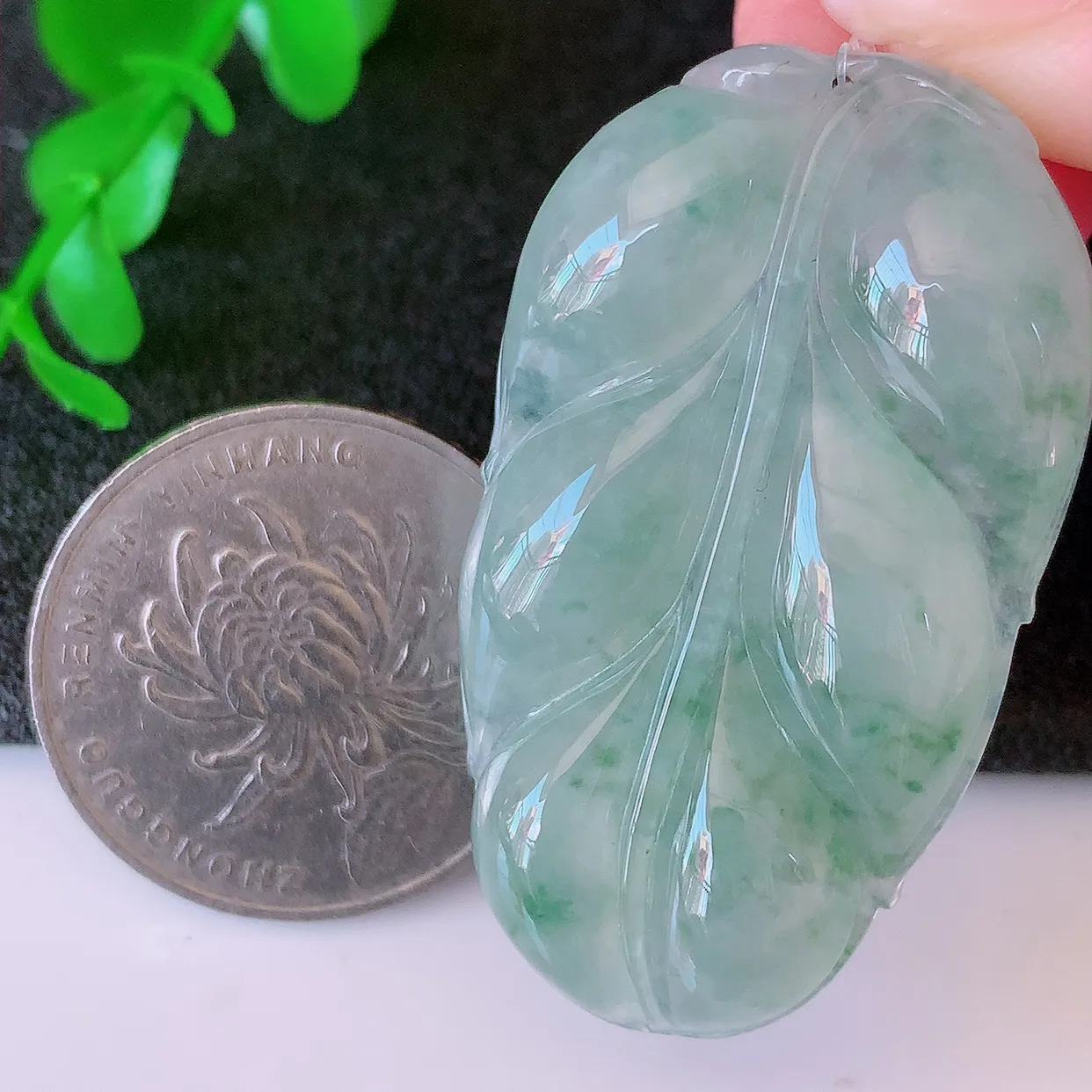 自然光实拍，冰种飘花翡翠叶子吊坠 ，种水足，色泽清新，工艺精湛，叶子寓意美好；金枝玉叶，事业有成。#49.7