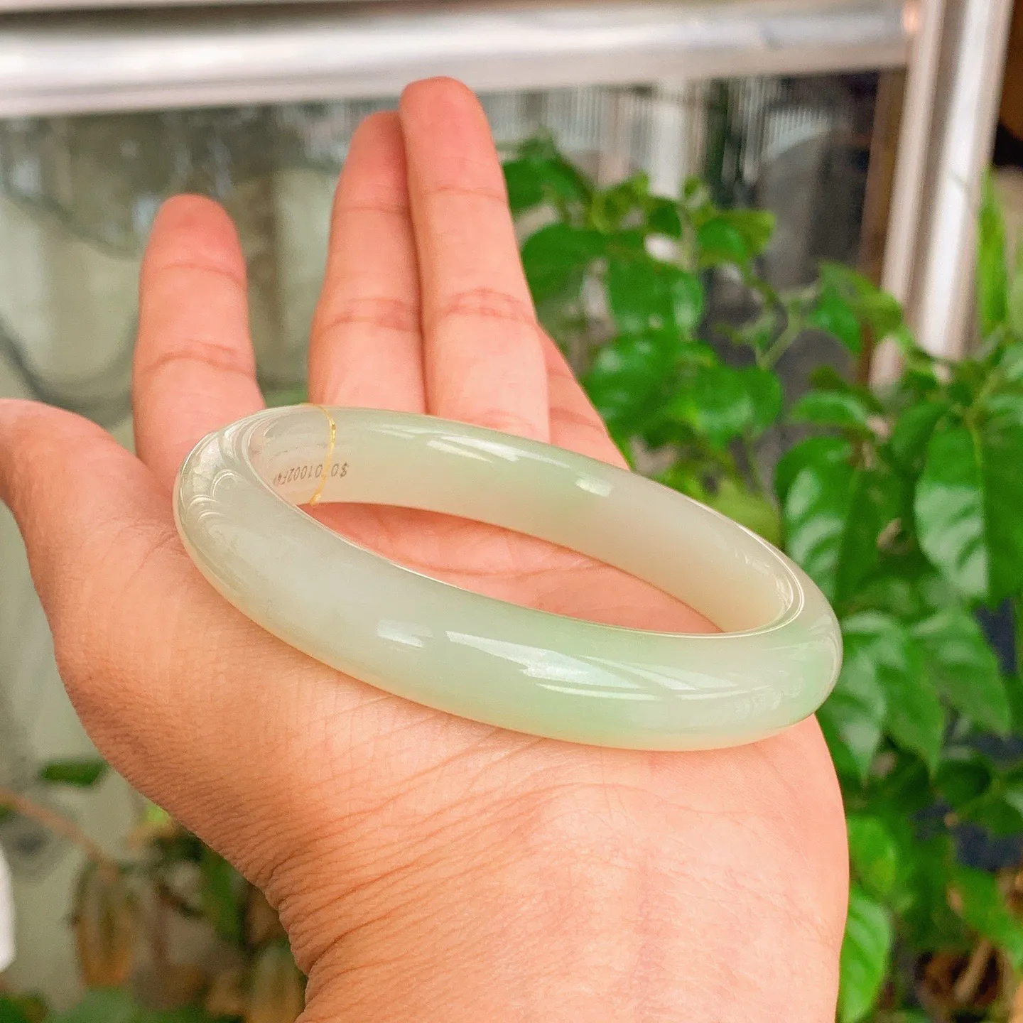 59圈口 和田玉青海翠翠青手镯   59圈口条宽12厚10重58克，玉质细腻油润 底色纯净 脂粉好。结构好。品质好！lt251107