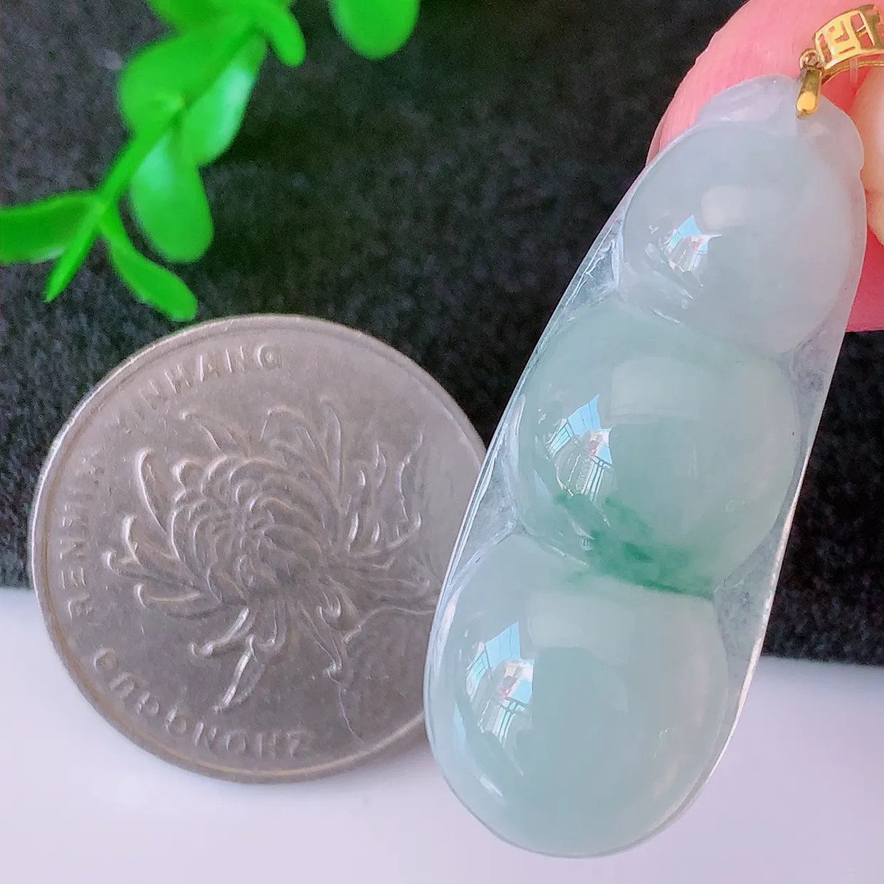 18K金镶嵌冰种飘花翡翠福豆吊坠，种老水足，雕工精湛 ，寓意美好，佩戴时尚出众！#49.7