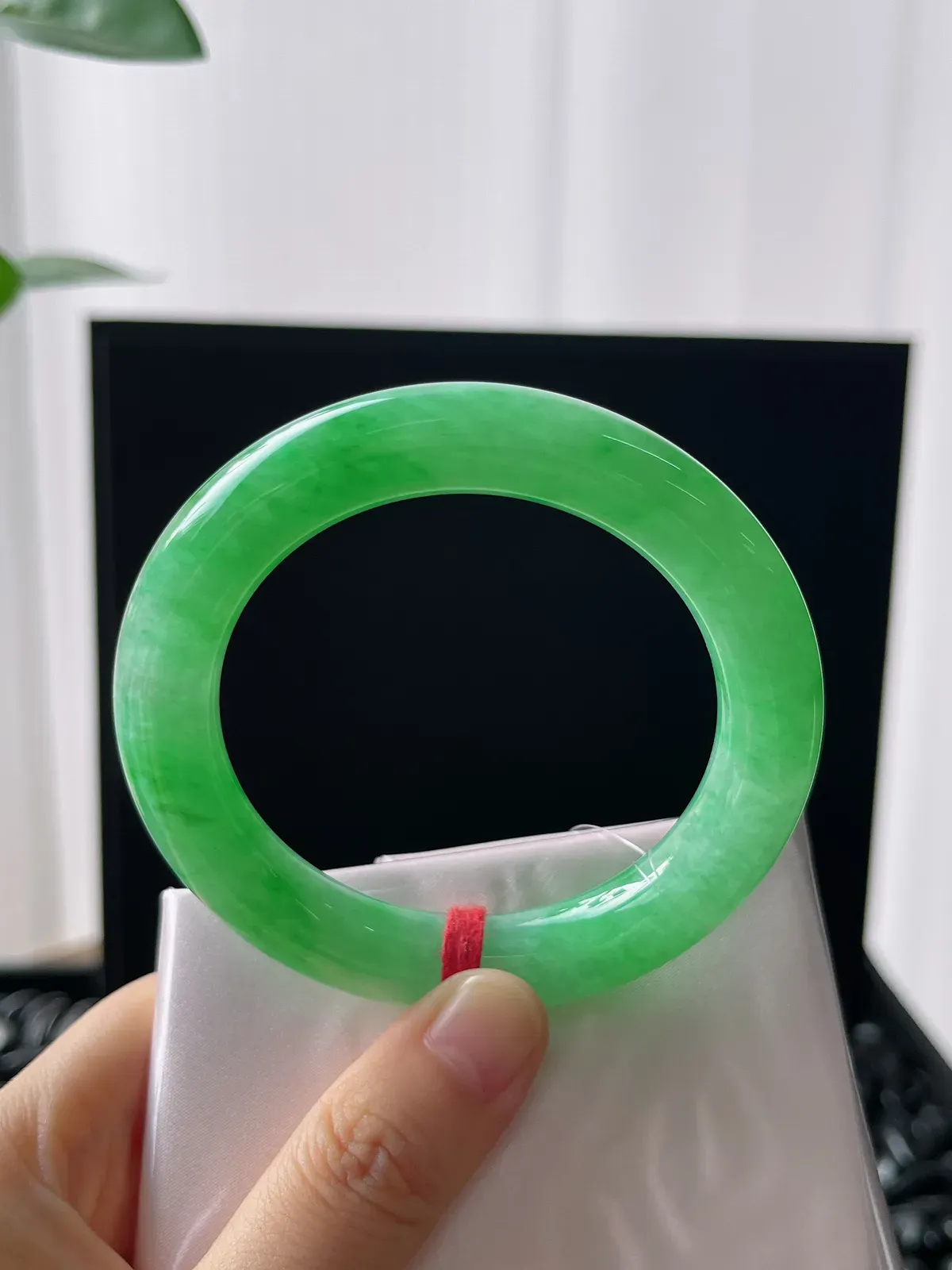 圆镯53.2圈口，翡翠冰糯种绿色手镯