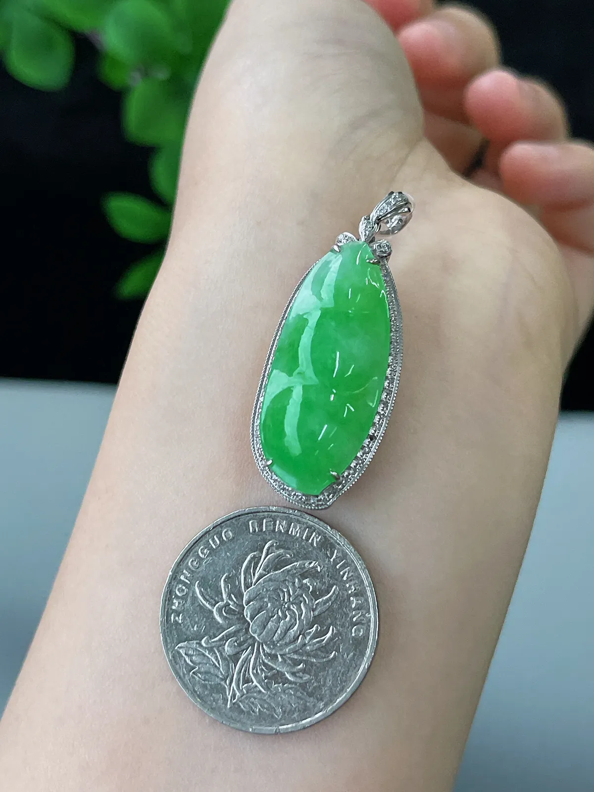 18k金翡翠冰糯种绿色福豆