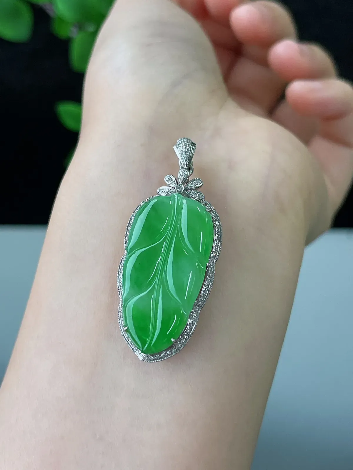 18k金翡翠冰糯种绿色叶子