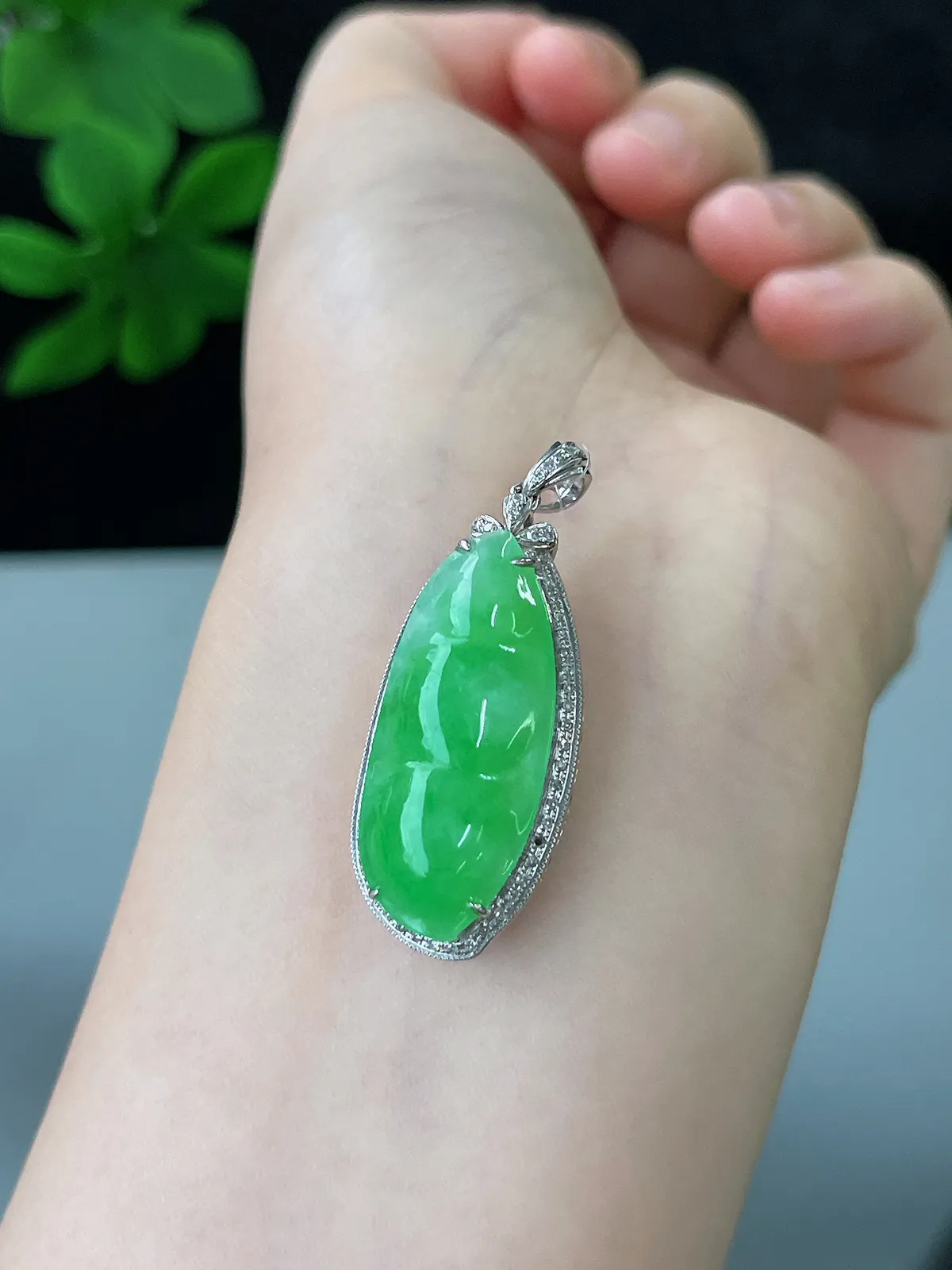 18k金翡翠冰糯种绿色福豆