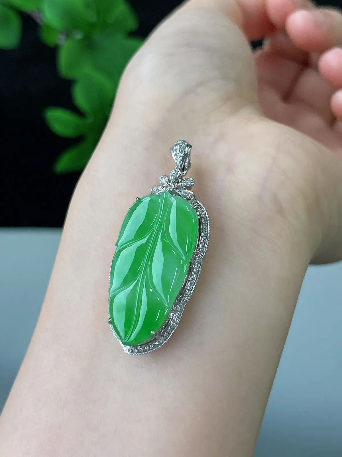 18k金翡翠冰糯种绿色叶子