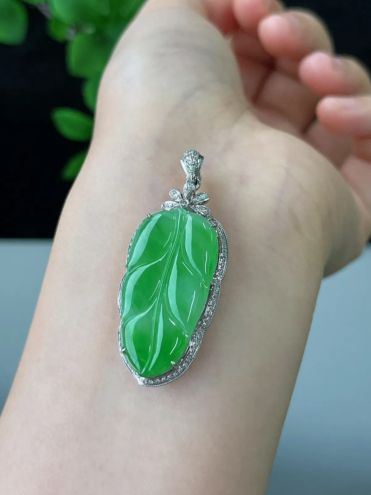 18k金翡翠冰糯种绿色叶子