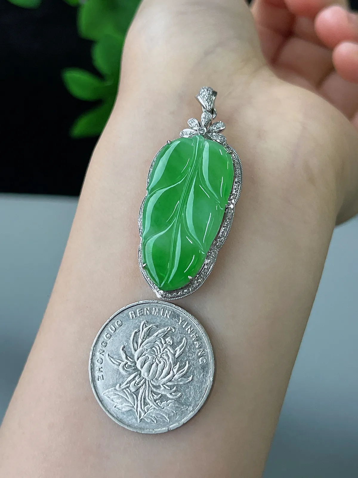 18k金翡翠冰糯种绿色叶子