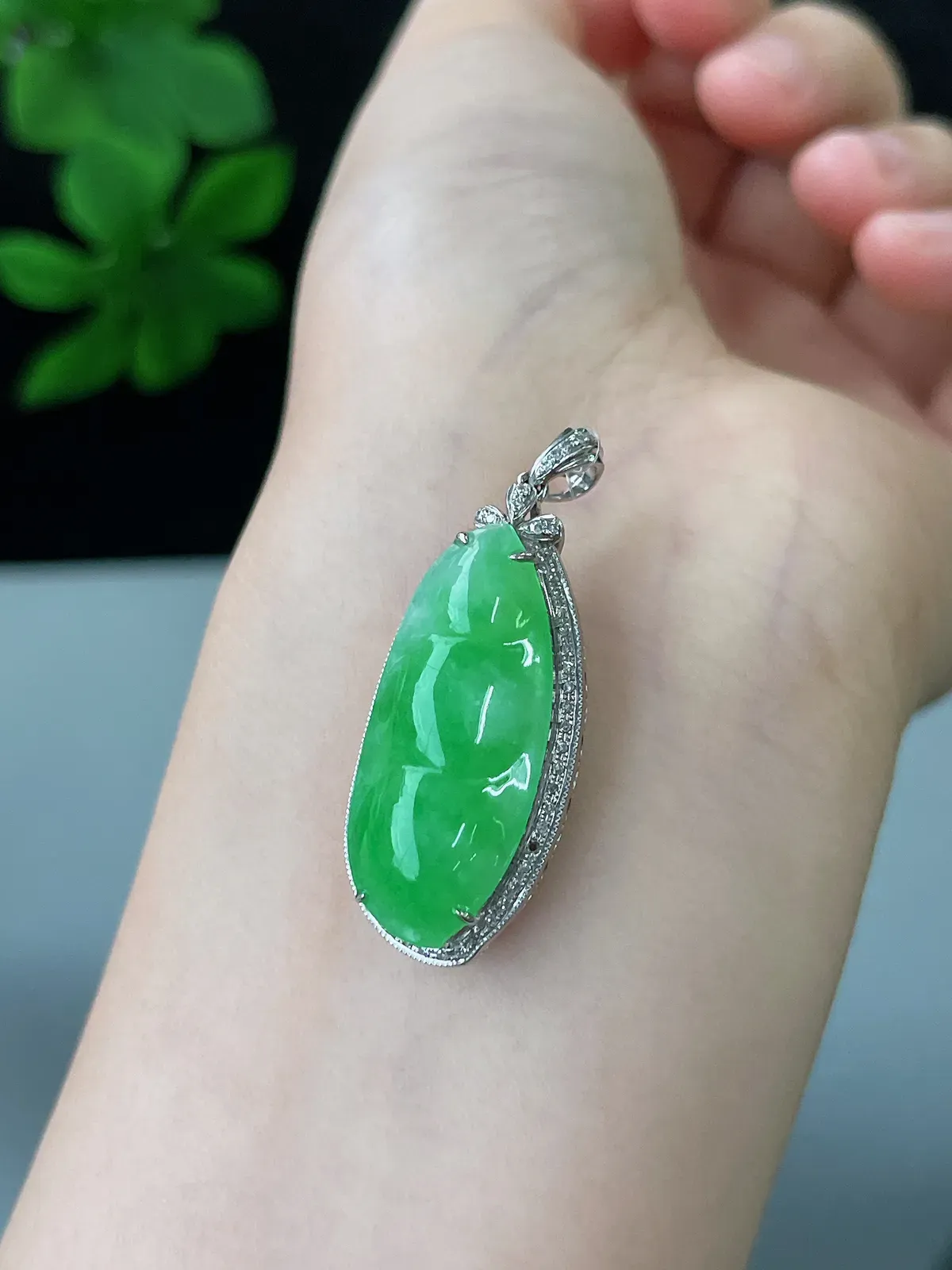 18k金翡翠冰糯种绿色福豆