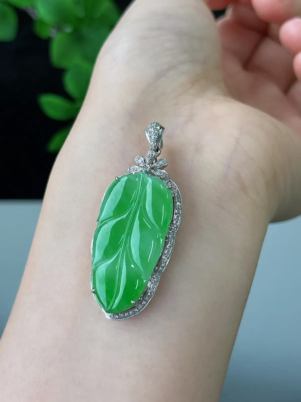 18k金翡翠冰糯种绿色叶子