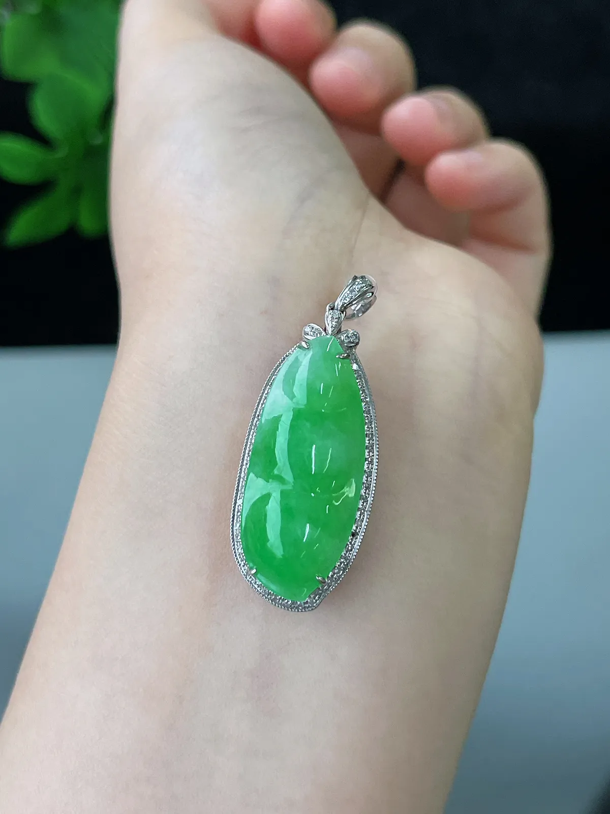 18k金翡翠冰糯种绿色福豆