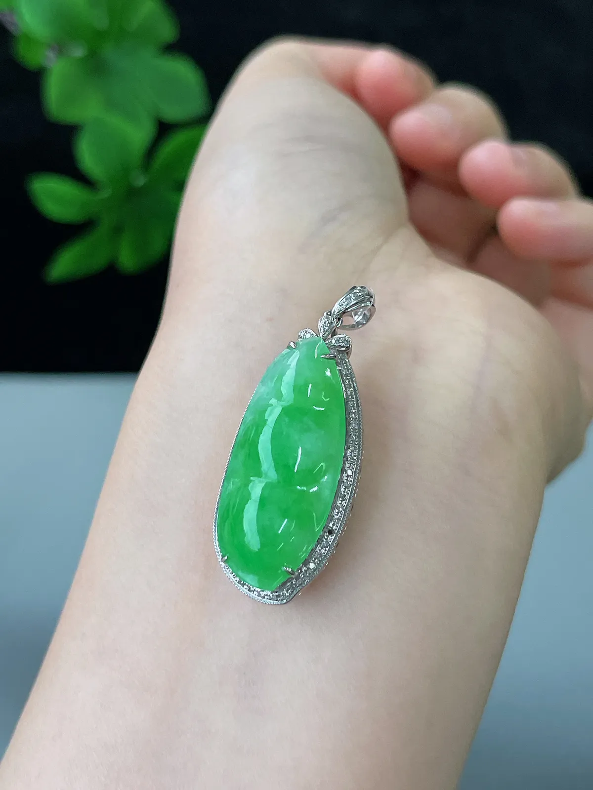 18k金翡翠冰糯种绿色福豆