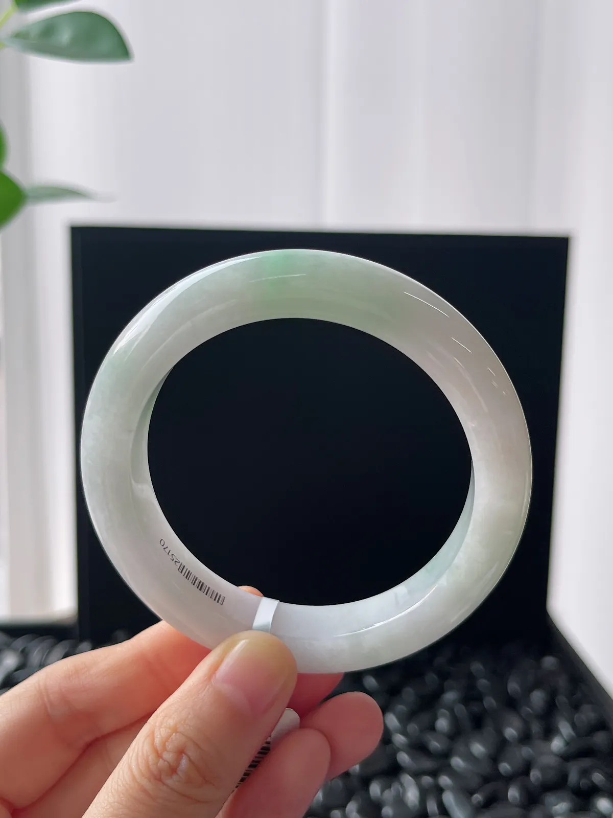 正圈54.9圈口，翡翠糯化种飘花手镯