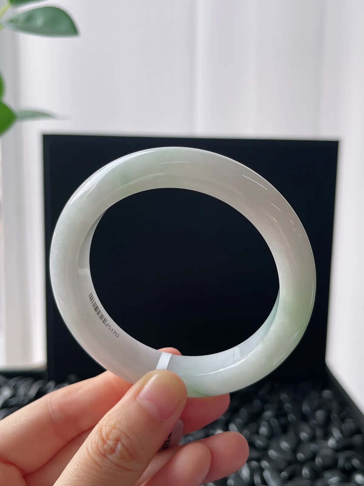 正圈54.9圈口，翡翠糯化种飘花手镯