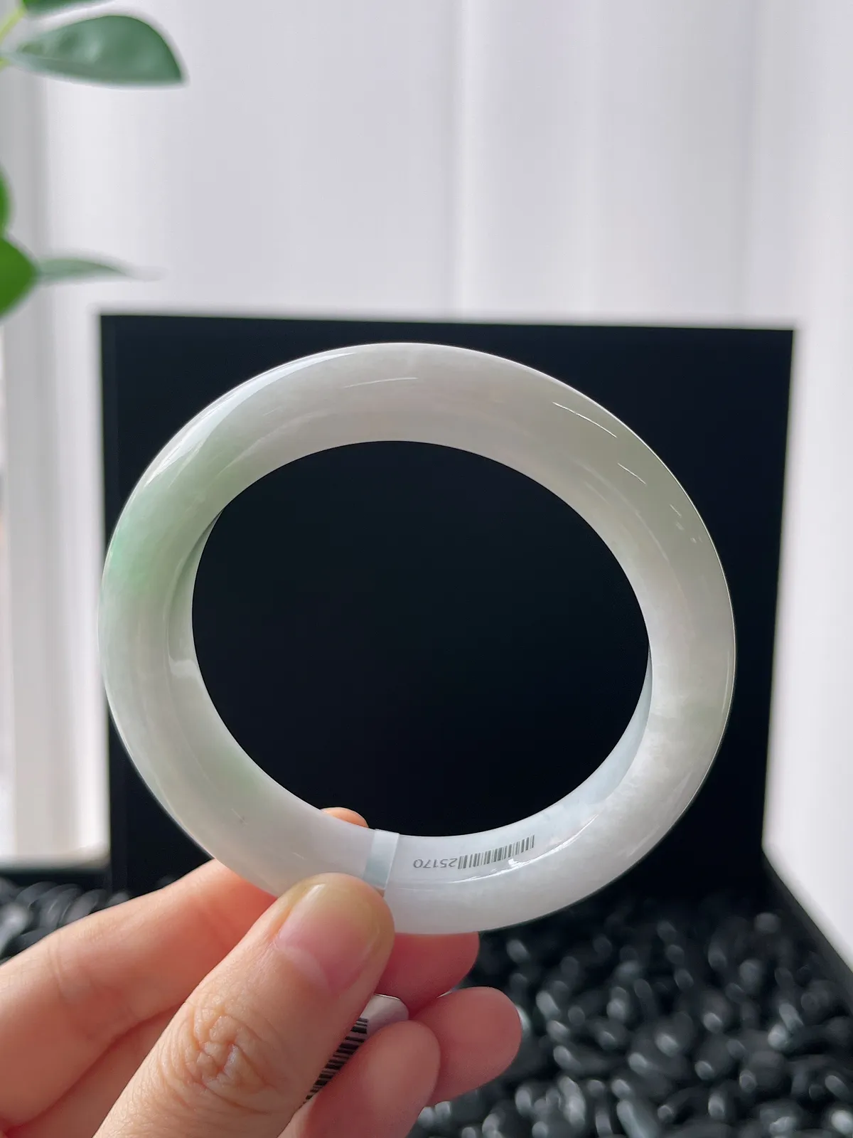 正圈54.9圈口，翡翠糯化种飘花手镯